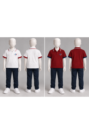 POLO YAKA KISA KOL